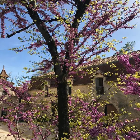 Chateau De Dom wakacyjny *