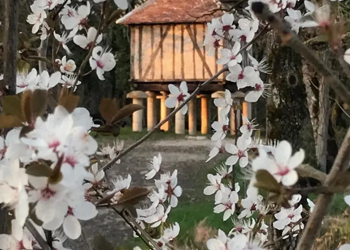 Chateau De Dom wakacyjny *