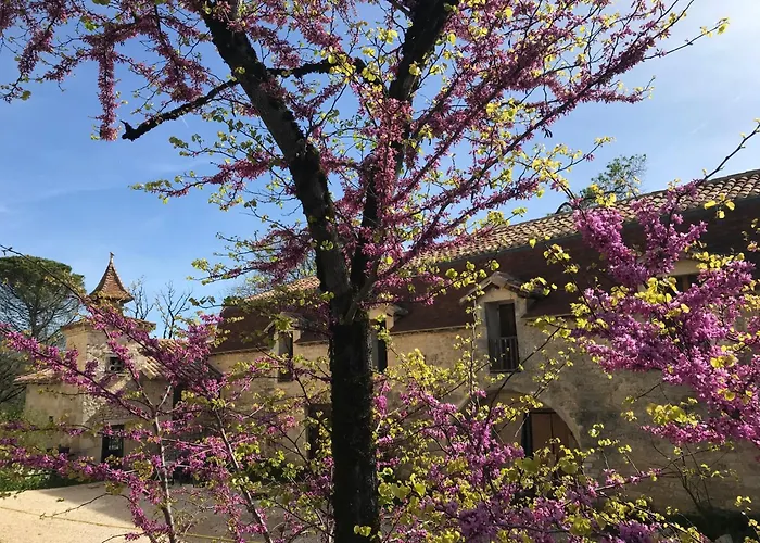 Chateau De Dom wakacyjny *