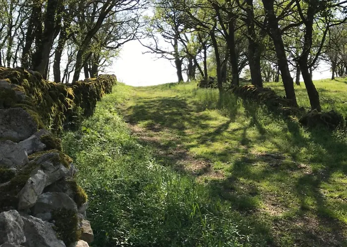 Chateau De Dom wakacyjny Belmont-Sainte-Foi