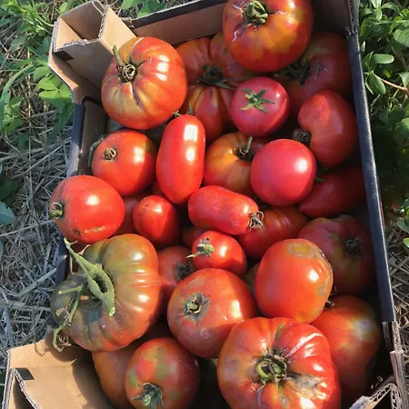 Château De Hébergement de vacances