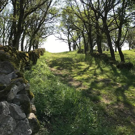 Château De Hébergement de vacances Belmont-Sainte-Foi