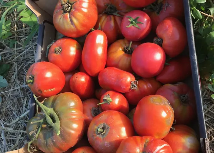 Château De Casa de Férias